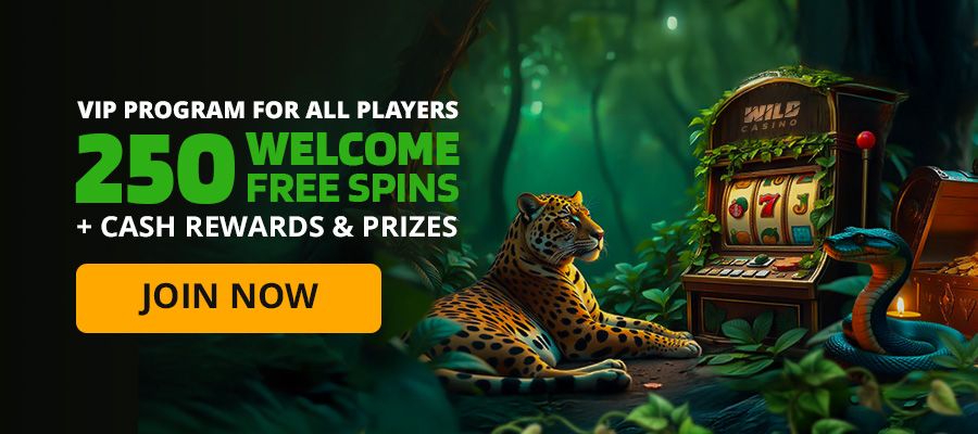 #1 - IN NEW VIP Rewards / Out Welcome Bonus