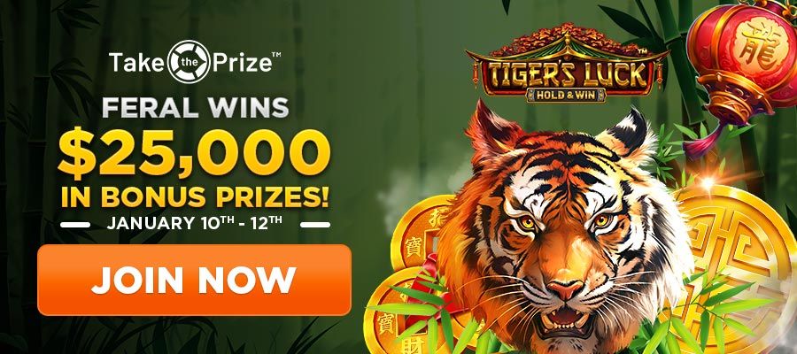 Wild Dice Casino UK: A Comprehensive Review of Casino Rewards and Gaming Experience