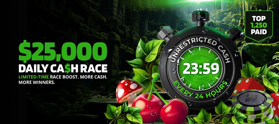 24 Casino Crypto Deposit Guide for New Zealand Players