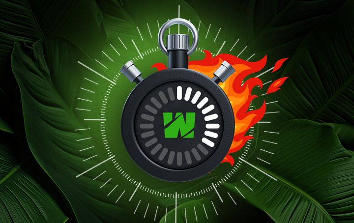 Wild Casino Rewards Daily Free Spins and Instant VIP Access