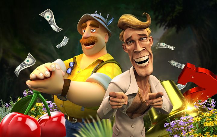 This Non-Stop Vaycasino Action Is Too Wild to Ignore