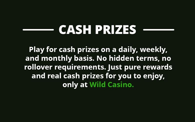 WILD CASH BOOST RAFFLE